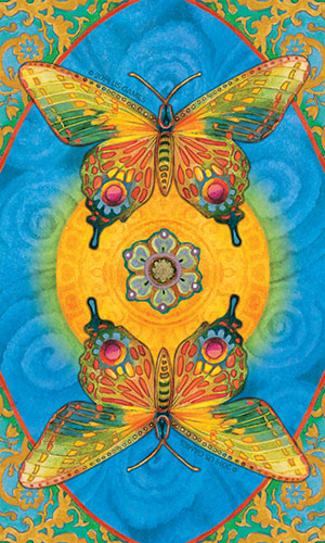 Chrysalis Tarot Deck and Book Set - Tarot Room Store