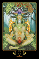 Dreams Of Gaia Tarot Pocket Size - Tarot Room Store